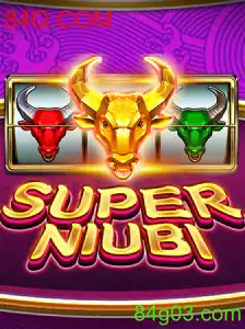 SuperNiubi - Um Mergulho no Mundo do 84G.COM